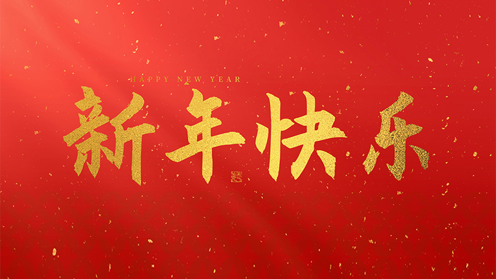 麗水市威儀自動(dòng)化技術(shù)有限公司祝全國(guó)人民2025新年快樂(lè)！